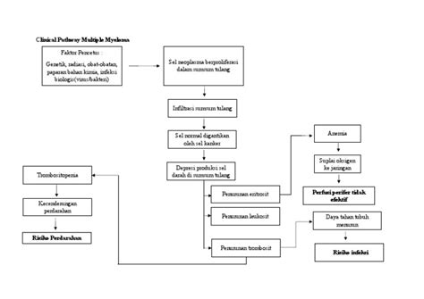 clinical pathway multiple myeloma