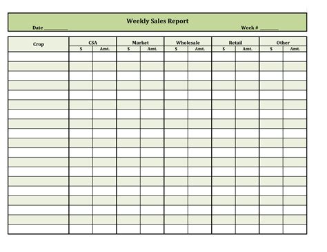 simple daily sales report format pdf 4