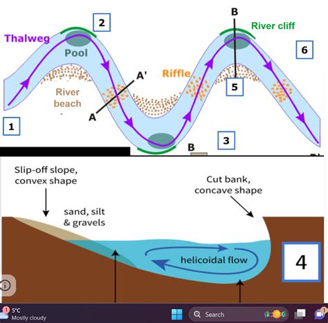 Formation Of Meander Diagram Quizlet