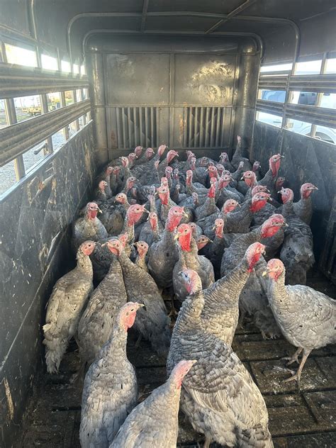 Know your farmer... - Greater Springfield Farmers' Market