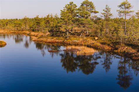 Tranquil lake reflecting house and forest · Free Stock Photo