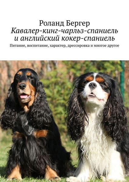 Кавалер-кинг-чарльз-спаниель и английский кокер-спаниель купить на OZON ...