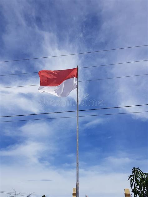 Detail Bendera Setengah Tiang Vector Koleksi Nomer 20