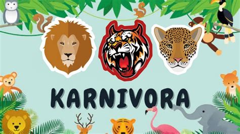 Hewan Karnivora Pemakan Daging Singa Harimau Serigala Piranha