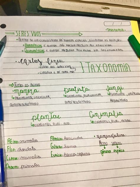 Mapa Mental Sobre Taxonomia Study Maps