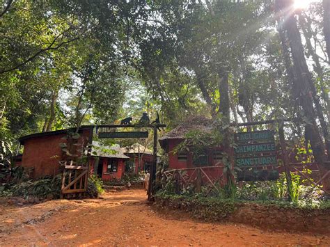 How to Travel to Sierra Leone and Have a Fantastic Time