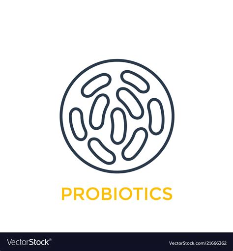 Probiotics Bacteria Linear Icon Royalty Free Vector Image