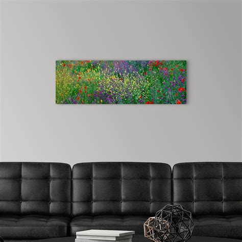 Wildflowers El Escorial Spain Wall Art, Canvas Prints, Framed Prints ...