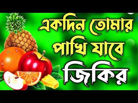 একদন তমর পখ যব খচট ক ছডয জকর রমজনর নতন জকর