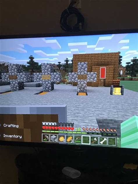 First Time Playing Minecraft In A Long Time And Three Of My Five Dogs