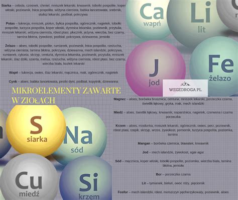 Mikroelementy zawarte w ziołach wegedroga zupełnie inny punkt widzenia