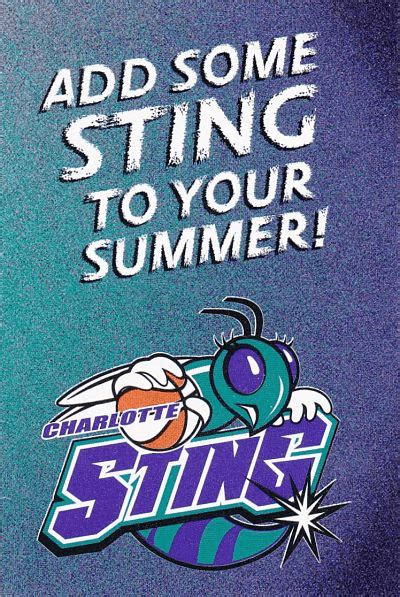 1997 2006 Charlotte Sting • Fun While It Lasted Basketball Association