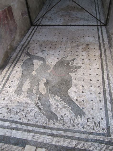 Mosaic floor - Pompeii, Italy | Mosaic flooring, Pompeii, Italy