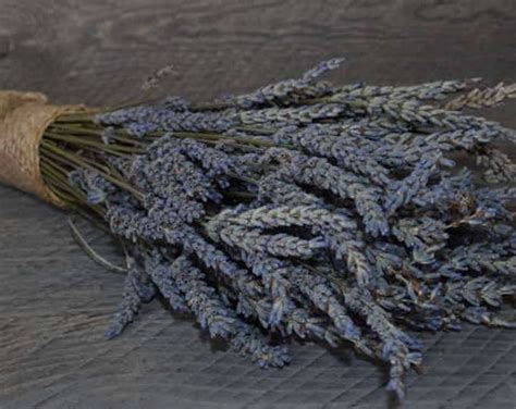 Dried English Lavender Lavender Bouquet Lavender Bunches - Etsy