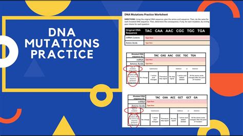 Dna Mutations Practice Worksheet