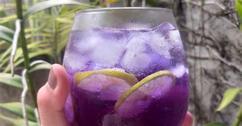 Resep Butterfly Pea Lemon Tea Oleh Ayakintani Cookpad