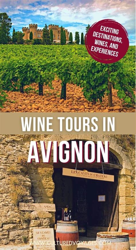 2024's Top 10 Avignon Wine Tours: Curated Picks - Cultured Voyages