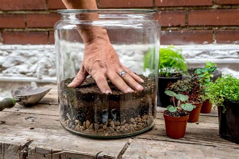 How To Make A Basic Terrarium