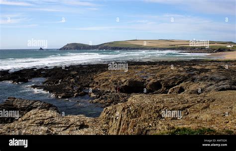 Constantine Bay near Padstow in Cornwall UK Stock Photo - Alamy