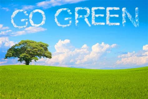 Your Complete Guide to Living Green – Vegan Green Living