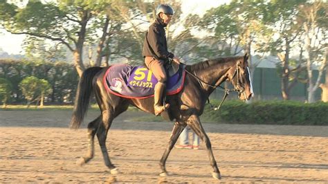 【ジャパンカップ】“世界最強馬決定戦”イクイノックスvsリバティアイランド 2021年コントレイルで「勝利の涙」福永祐一調教師が斬る2頭の強さ