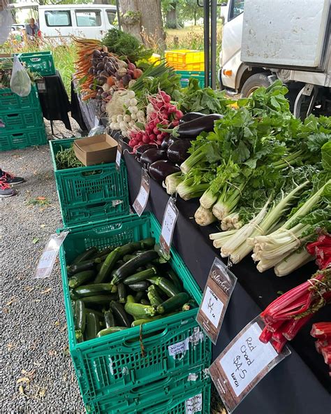 Plant Basics — Christchurch Farmers' Market