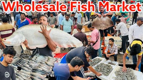 Ghazipur Fish Mandi Ighazipur Mandi Fish Price 2024 Ghazipur Mandi