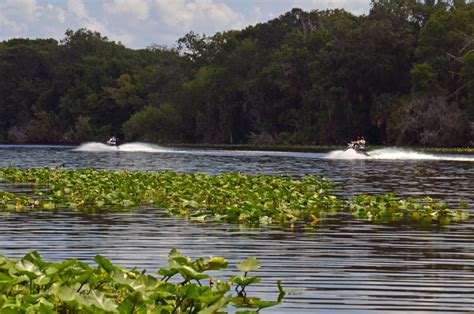 10 Super Fun Things to do in Ocala, Florida