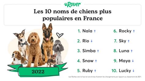 Nala Rio Simba Quels sont les prénoms les plus populaires chez les