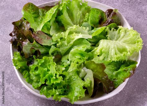 Green salad with three types of lettuce leaf on the white plate ...