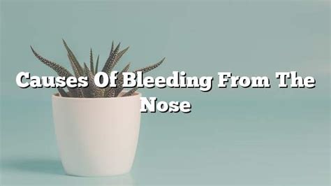 Causes of bleeding from the nose - ON THE WEB TODAY