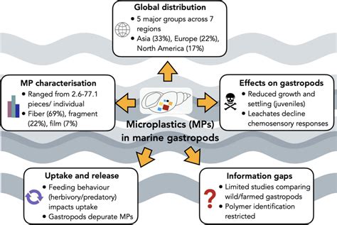 Infographic Summarising The Global Distribution Of Microplastics In