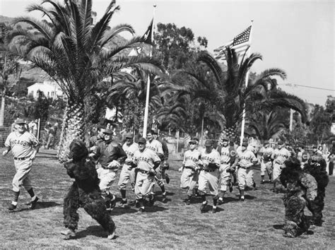 Cubs Historic Photos 24th In A Series Bleed Cubbie Blue