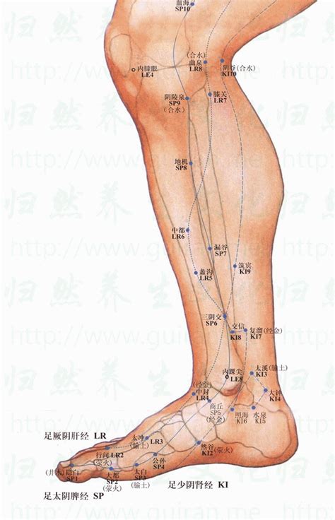 復溜穴位置 復溜穴痛 穴道按摩與穴位引導經絡功效圖解 复溜穴 穴道經絡引導