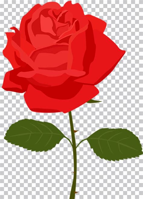 Recorte Vetorial De Flor Rosa Vermelha Em Fundo Transparente Png Fundopng