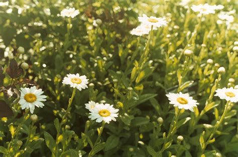 Baby Its Hot Outside Inspired Vision