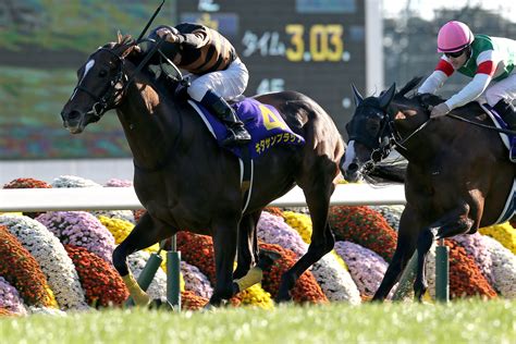 キタサンブラック｜3分でわかった気になる名馬 Jra