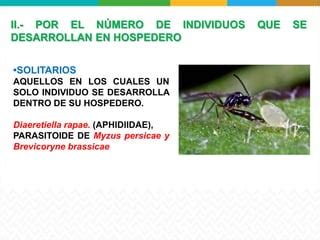 Manejo Integrado De Plagas Mediante El Uso De Parasitoides PPT