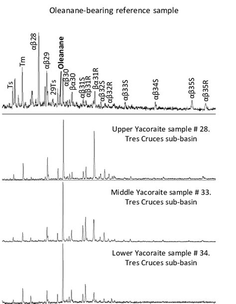 Gc Ms Chromatograms Of Hopanes Distribution M Z In The Saturate