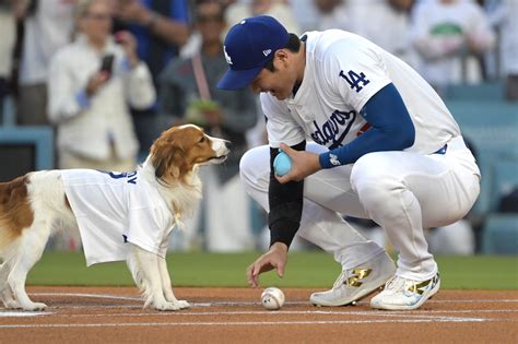 Dodgers vs Yankees highlights: Home runs fly in World Series Game 2