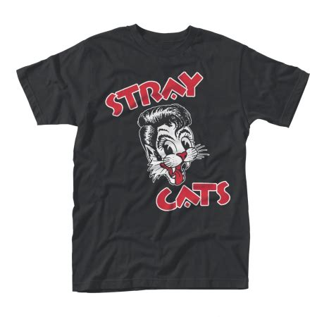 STRAY CATS