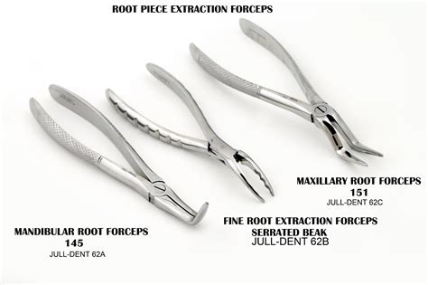 Right Extraction Forceps Maxillary Forceps Prodentusa Off