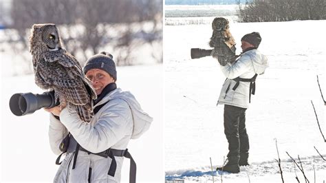 Great Gray Owl Perches On Photographers Lens Incredible Moment