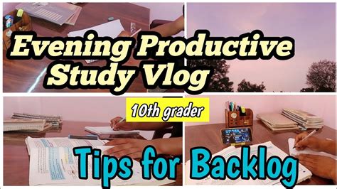 Evening Productive Study Vlog A Day In My Life As Cbse Class Th