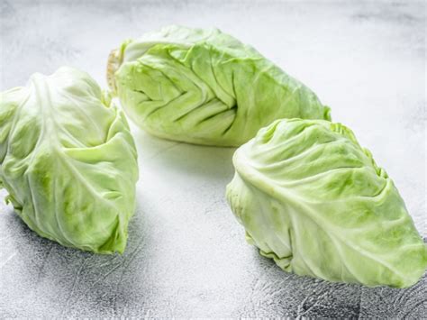 Types Of Cabbage Different Varieties Insanely Good