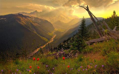 Fondos de pantalla río montañas Flores engancharse Mira altura