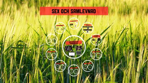 Sex och samlevnad by Anna Runsö on Prezi