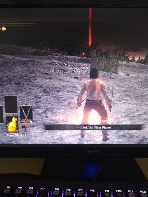 Just finished dark souls 3 All bosses + All dlc bosses 1 Estus flask ...