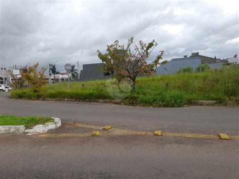 Terreno M Venda Parque Da Matriz Cachoeirinha Lopes