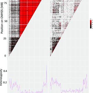 Linkage Disequilibrium Heatmap Constructed From R 2 Values For The A X